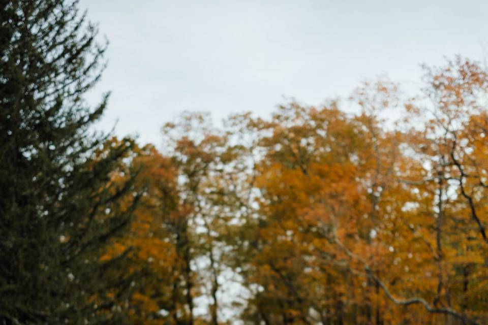 Elopement Ceremony