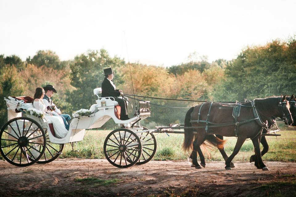 Carriage to the reception
