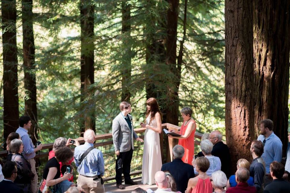 Outdoor wedding