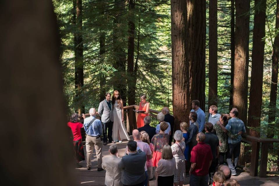 Wedding ceremony