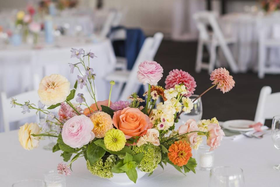 Tented Space
