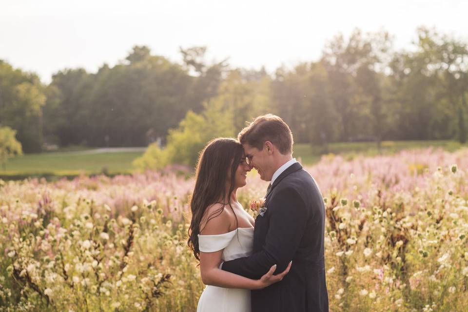 Flower fields - august