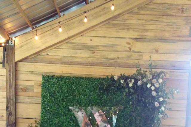 Backdrop