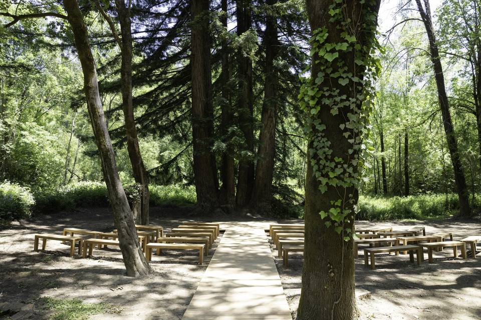 Ceremony in the redwoods