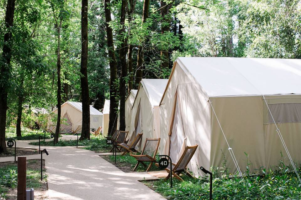 Camp