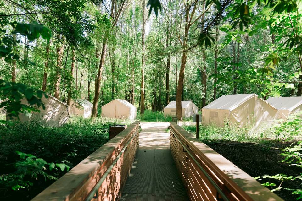 Entry to camp