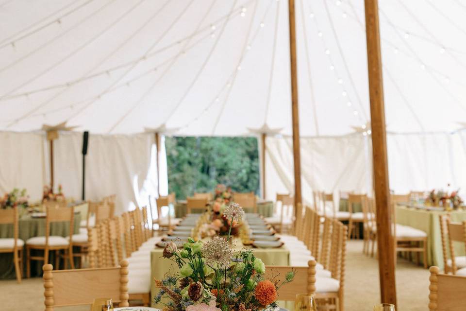 Dinner in the tent