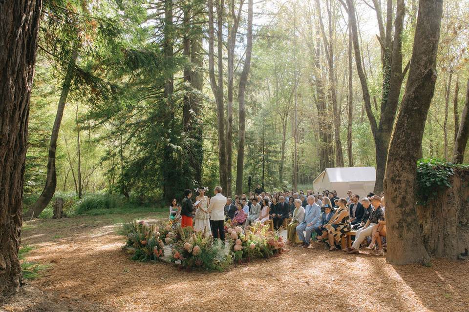 Ceremony in the redwoods