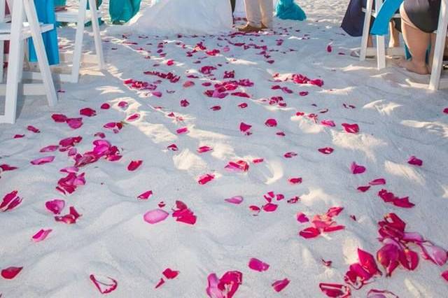 Affordable Beach Wedding