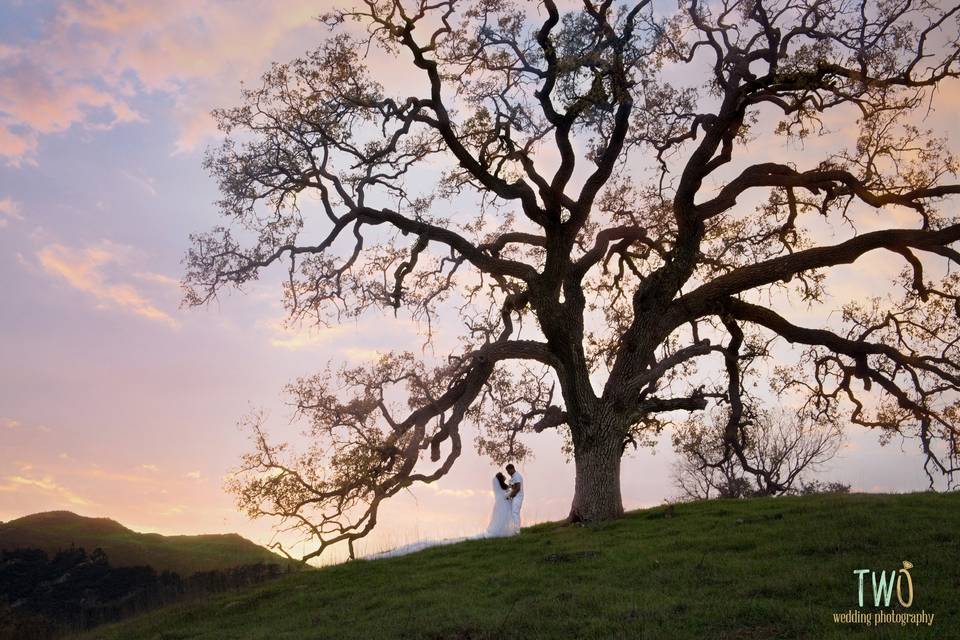 TWO Wedding Photography