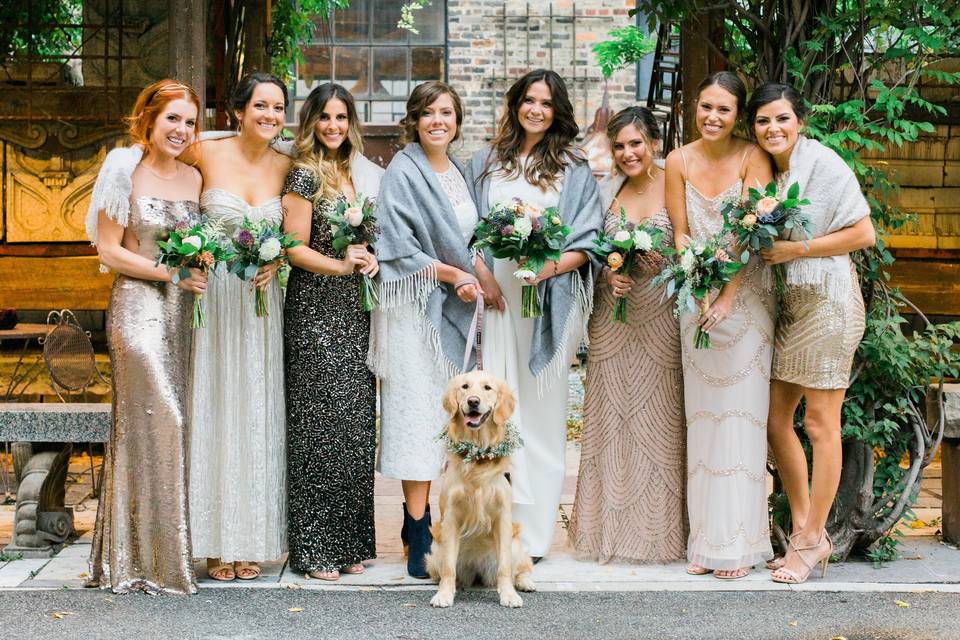 Dog friendly
