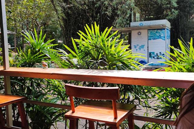 Heartfelt Vows Ceremonies