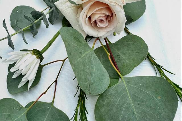 PattyO'Rose Designs