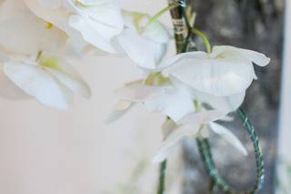 Posh & Private Event Design
