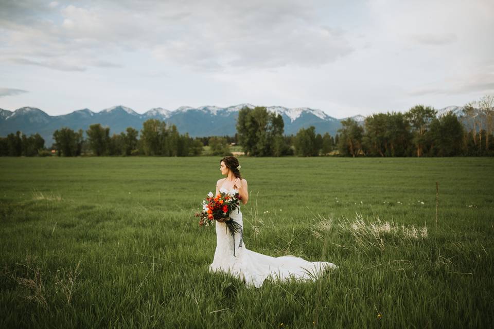 Green fields and a bride