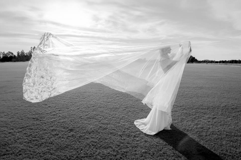 Anto's wedding dress
