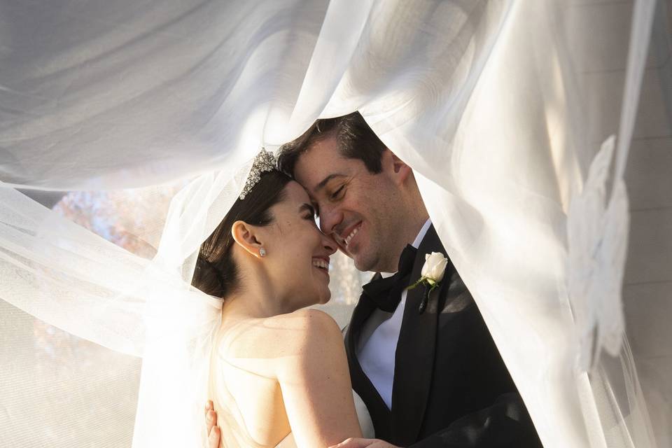 Lily & Alfonso's portraits