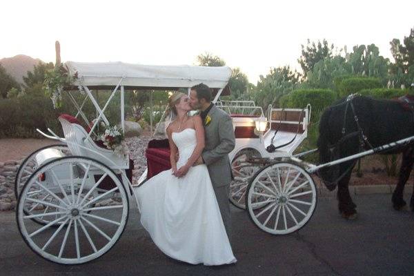 Scottsdale Horse and Carriage