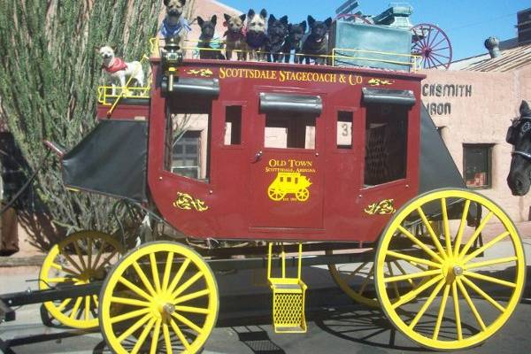 Scottsdale Horse and Carriage