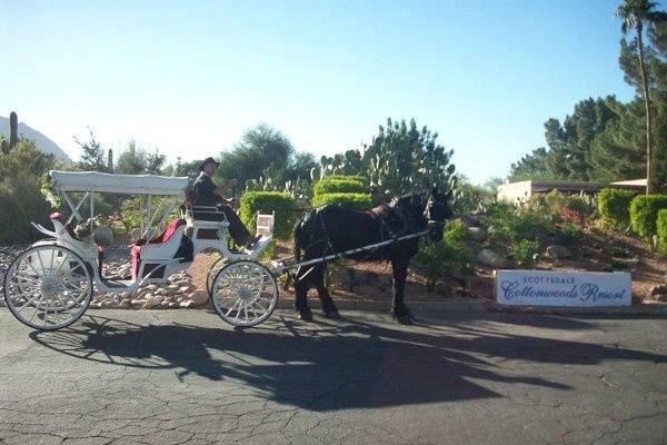 Scottsdale Horse and Carriage