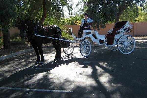 Scottsdale Horse and Carriage