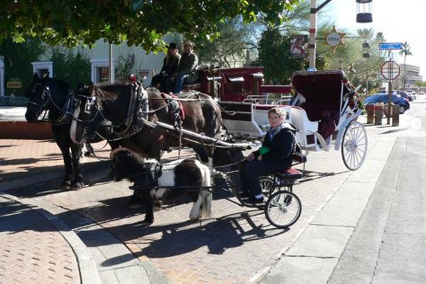 Scottsdale Horse and Carriage