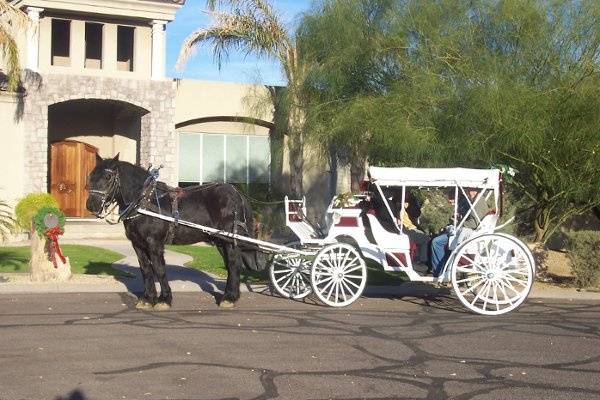 Scottsdale Horse and Carriage