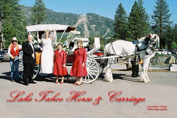 Scottsdale Horse and Carriage