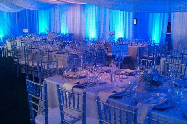 Shelli Armstrong Events