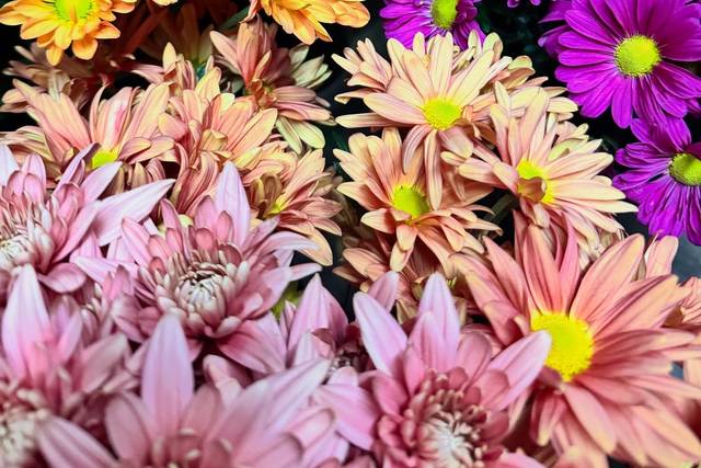 Clipper's Flowers