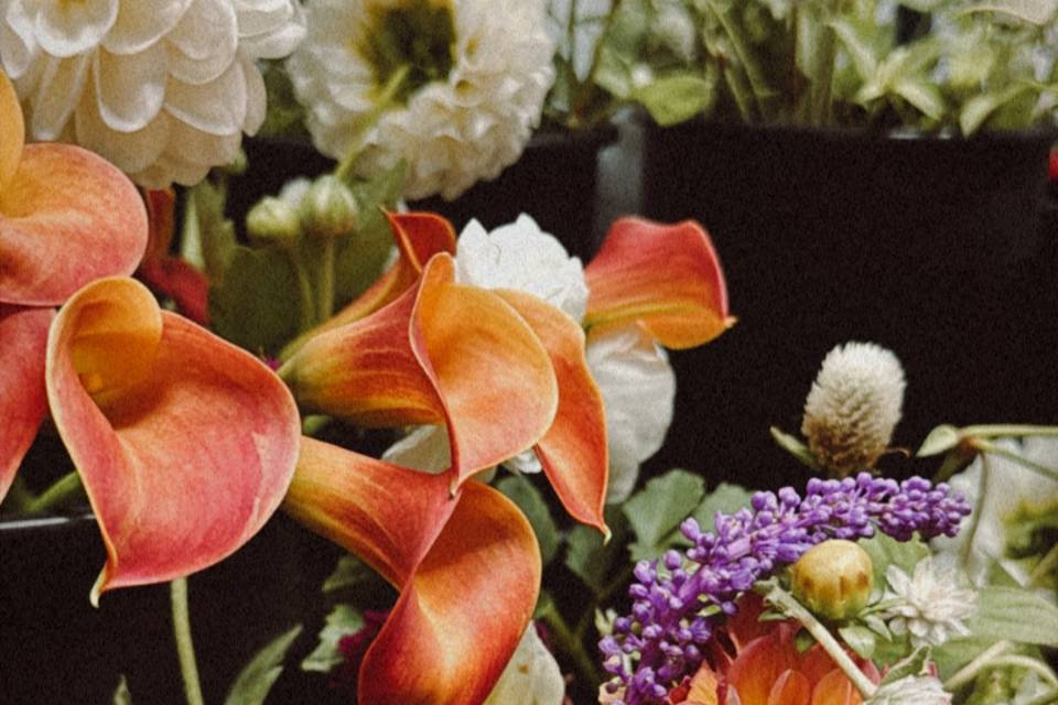 Clipper's Flowers