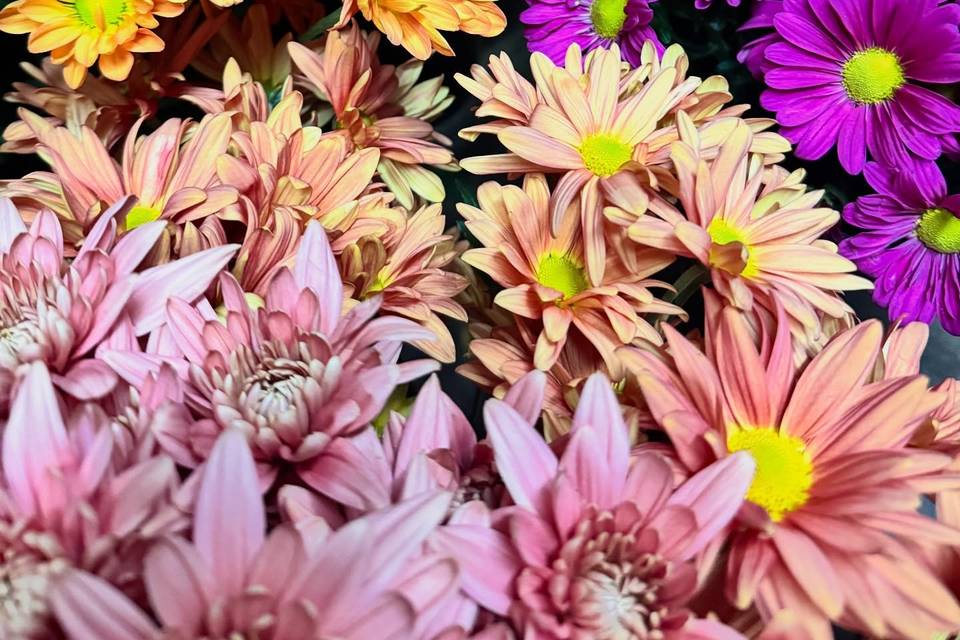 Clipper's Flowers