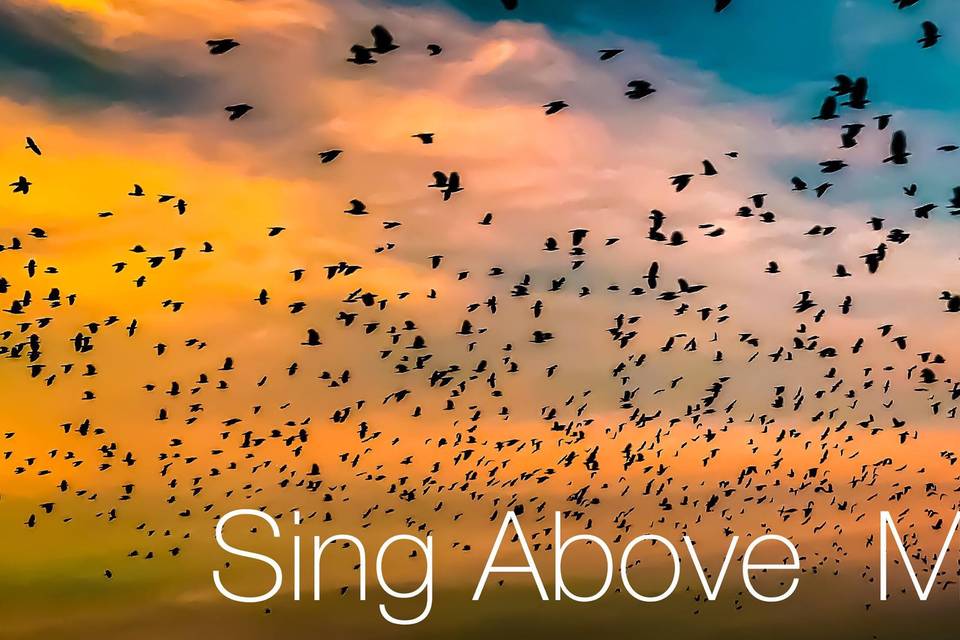 Sing Above Photography