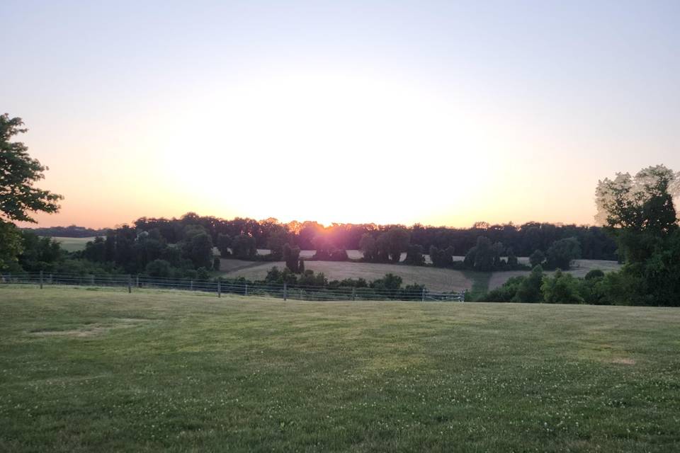 Sunset