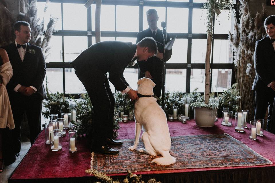 Nick and Julias ring bearer was their cherished pup, Nahla!