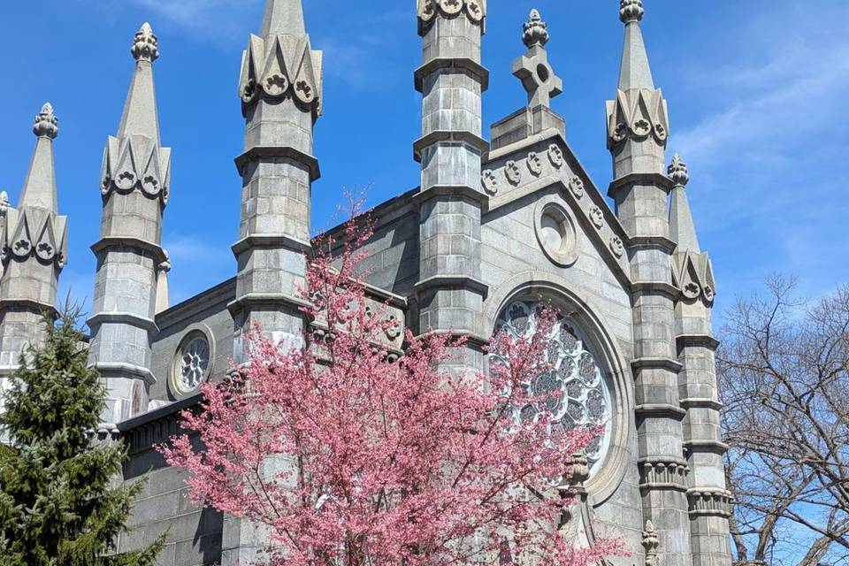 Friends of Mount Auburn
