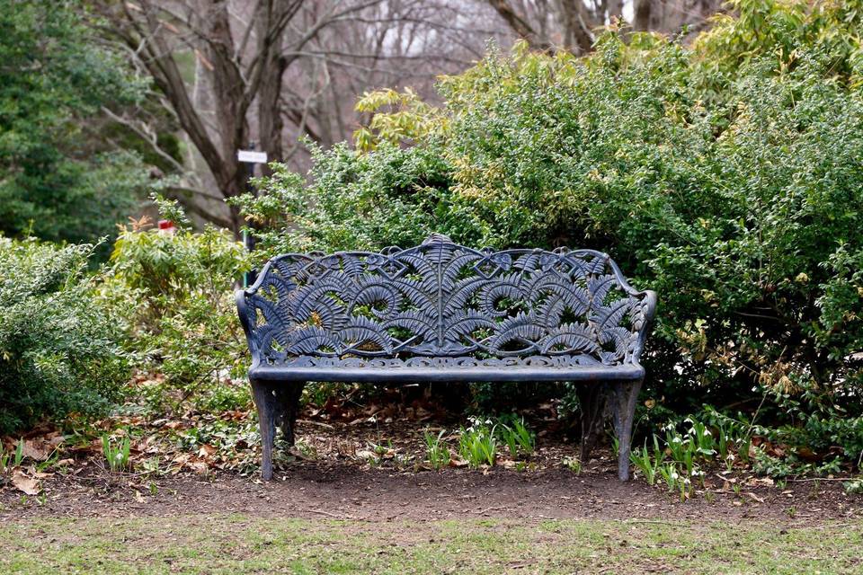 Friends of Mount Auburn