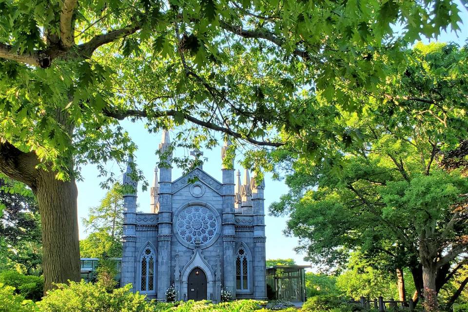 Friends of Mount Auburn