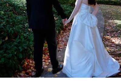 Friends of Mount Auburn