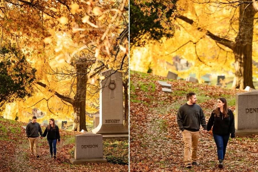 Friends of Mount Auburn