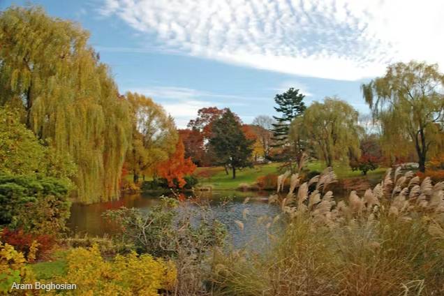 Friends of Mount Auburn