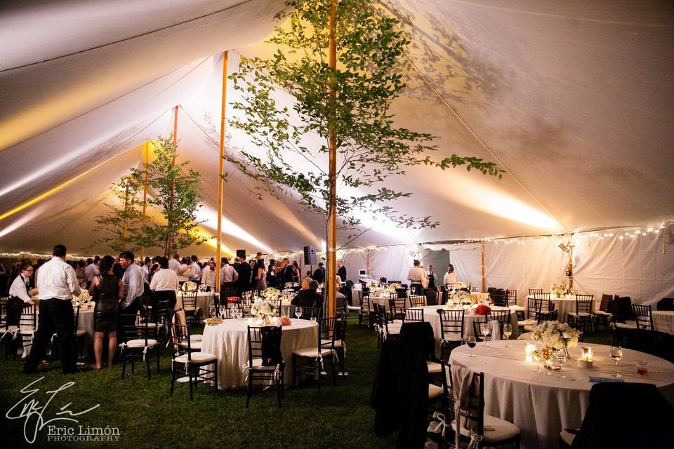 Wedding Tent