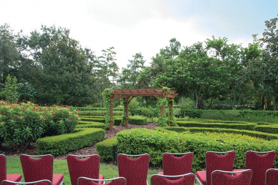 Butterfly Garden
