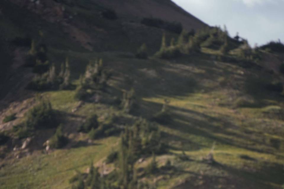 Crested Butte Engagement