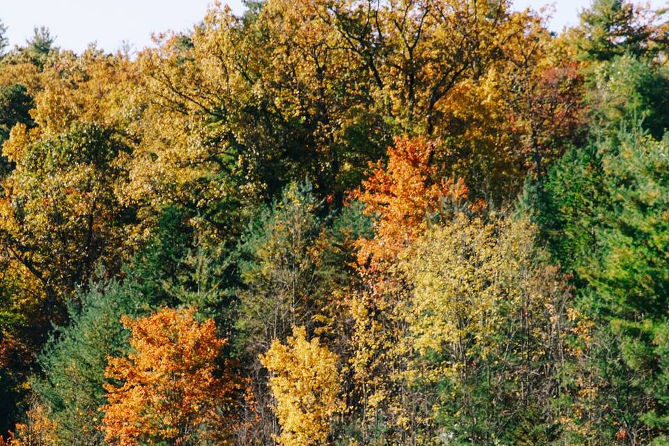 Autumn Banner Lake