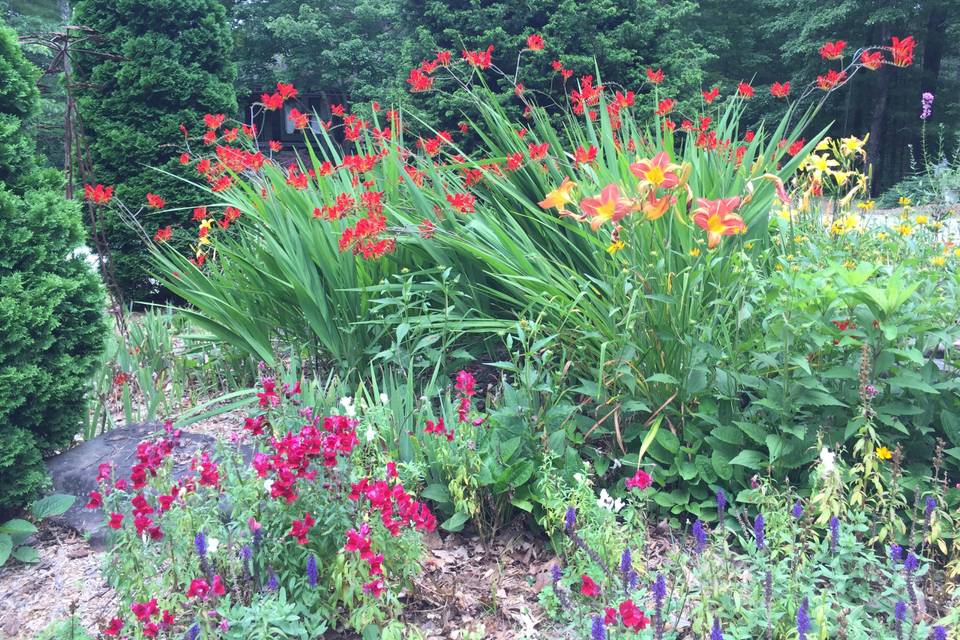 Summer Flowers