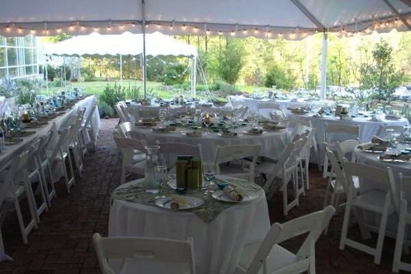 Natasha F. Wayne Events