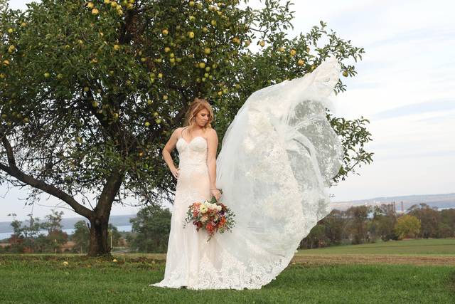 Bride-dress-wedding