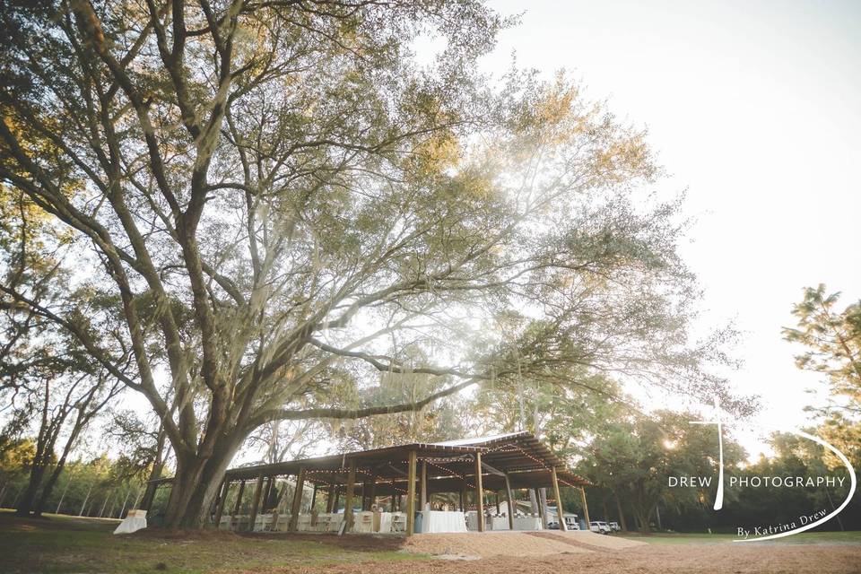 Beautiful Florida outdoor wedding! Pictures by  Drew Photographs  drewphotographs.com