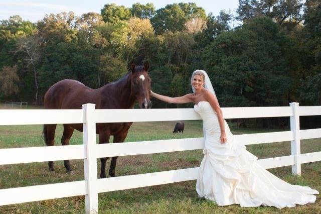 Bride petting a horse